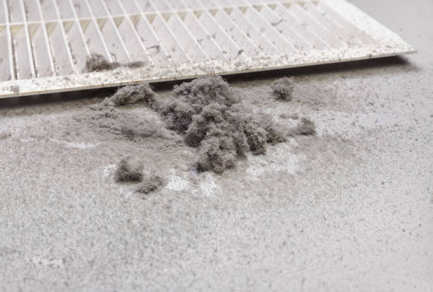 Best Residential Air Duct Cleaning  in Scottsburg, IN