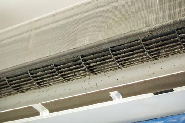 Best Air Quality Test  in Scottsburg, IN